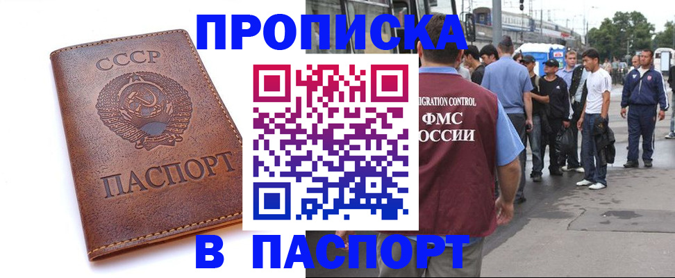 временная регистрация поиск в Зеленогорске